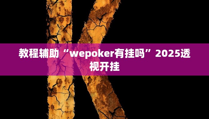 辅助神器“Winner助赢神器”![果然有透视挂]
