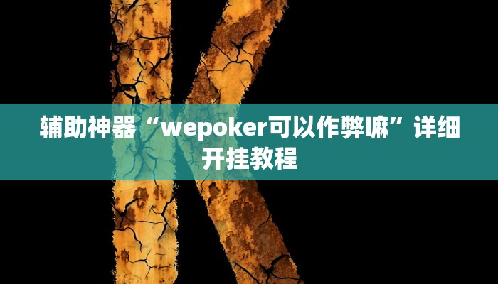 辅助神器“德州wepoker可以开挂吗”![果然有透视挂]