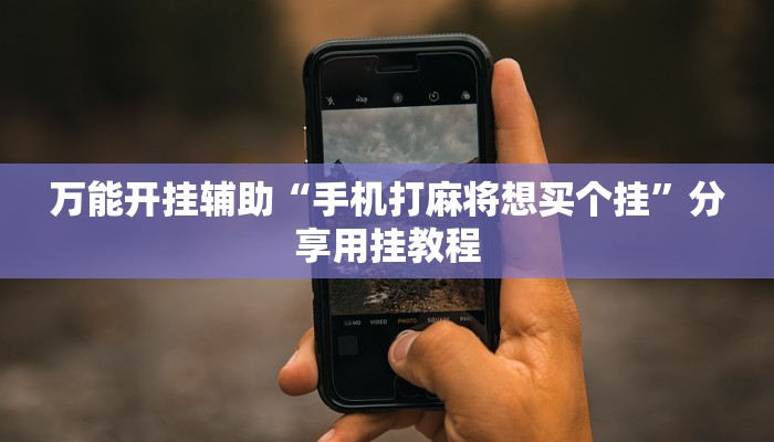 万能开挂辅助“微乐宁夏开挂下载安装”2025开挂教程步骤