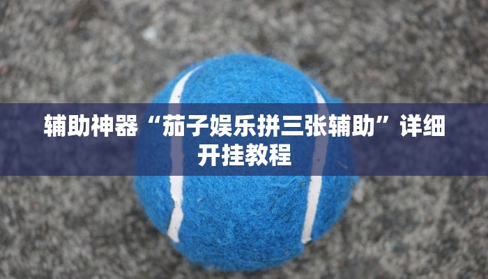 辅助神器“茄子娱乐拼三张辅助”详细开挂教程