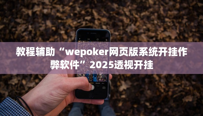 教程辅助“wepoker网页版系统开挂作弊软件”2025透视开挂