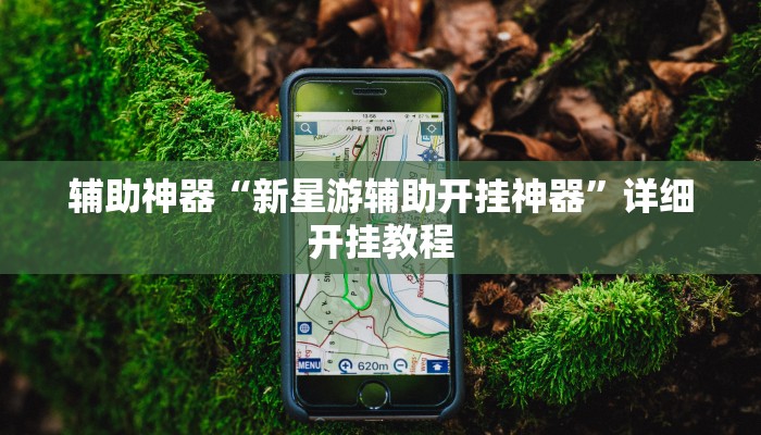 玩家辅助神器“边锋掼蛋辅助器”其实确实有挂