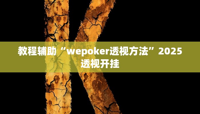 教程开挂辅助“hhpoker透视挂作弊方法”![果然有透视挂]