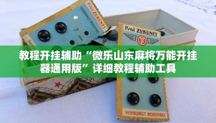 辅助神器“旺旺冲击麻将可以开挂”![果然有透视挂]