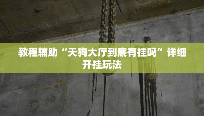 玩家辅助神器“点点四川长牌有透视挂吗”原来确实有挂 玩家辅助神器“点点四川长牌有透视挂吗”原来确实有挂