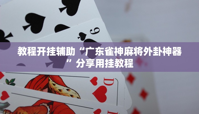 辅助神器“福麻圈到底是不是有挂”![果然有透视挂]