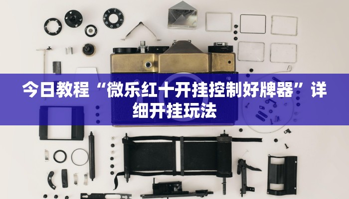 玩家辅助神器“网易棋牌开挂神器”其实确实有挂