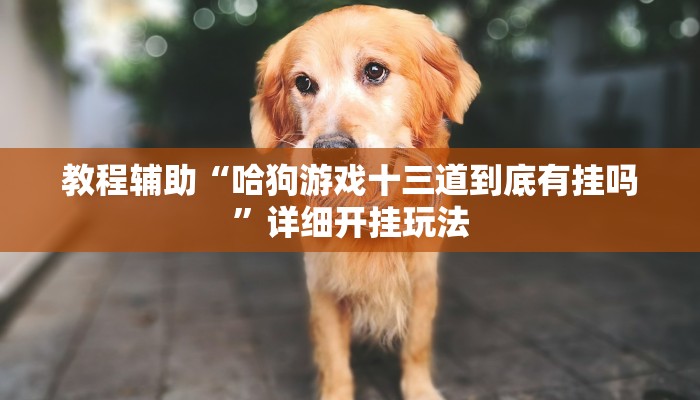 教程辅助“喜扣跑胡子万能开挂器”其实确实有挂