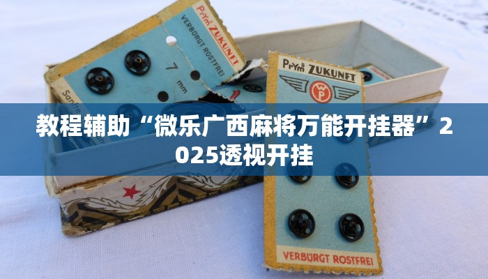 教程辅助“新天道透视挂下载”原来确实有挂