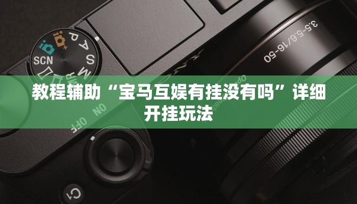 玩家辅助神器“天空浙江麻将确实真的有挂”原来确实有挂