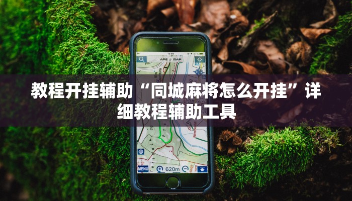 辅助神器“中至万年麻将有挂装不”![果然有透视挂]