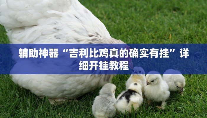 辅助开挂神器“和和麻将免费挂”分享用挂教程