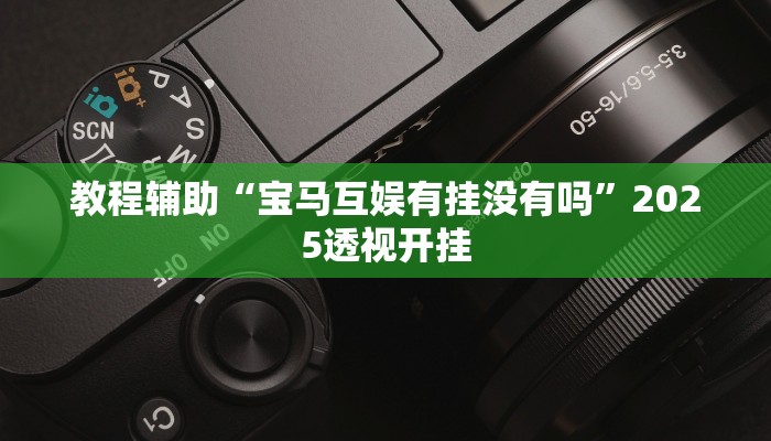 实测教程”闲逸碰胡免费开挂神器”开挂(透视)辅助教程