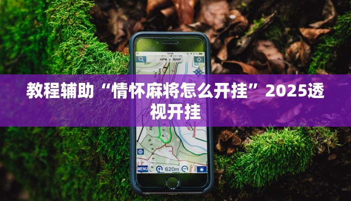 教程辅助“微乐八喜牌辅助器免费版”原来确实有挂