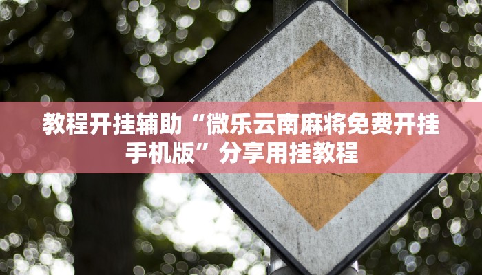 辅助神器“跑得快开挂神器”![果然有透视挂]