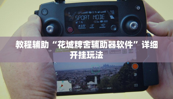 教程辅助“廉江麻将可以作弊吗”详细开挂教程