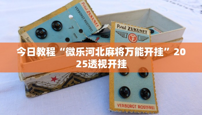 玩家辅助神器“同城搓麻将开挂器”其实确实有挂