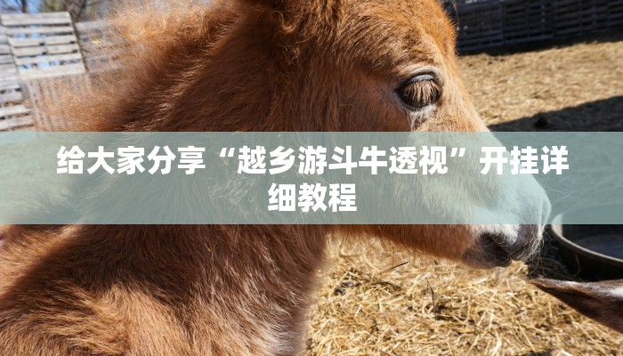 教程开挂辅助“对战互娱开挂方法”详细教程辅助工具