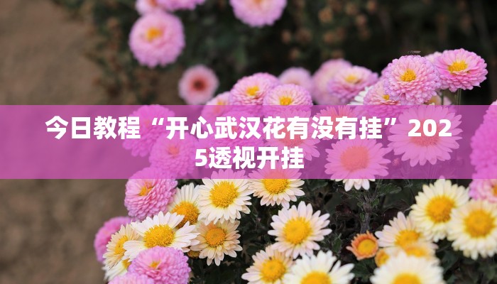 辅助神器“小闲山城棋牌要开挂用什么软件”![果然有透视挂]