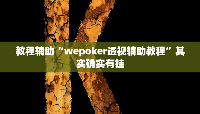 辅助神器“广西佬游玩十三张辅助器”![果然有透视挂]
