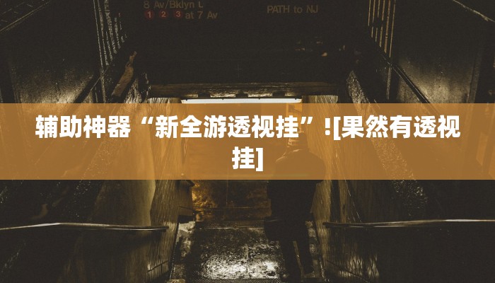 辅助神器“新全游透视挂”![果然有透视挂]