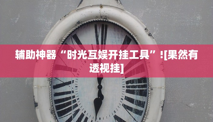 辅助神器“时光互娱开挂工具”![果然有透视挂]