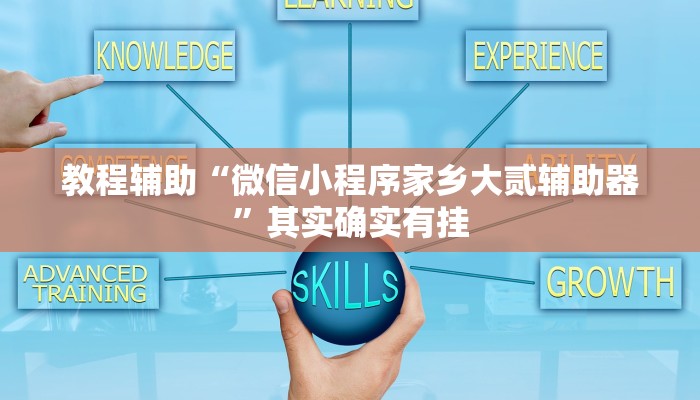教程辅助“微信小程序家乡大贰辅助器”其实确实有挂