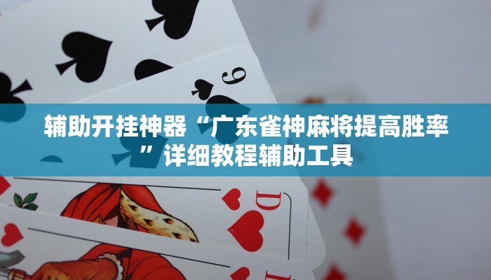 辅助开挂神器“广东雀神麻将提高胜率”详细教程辅助工具