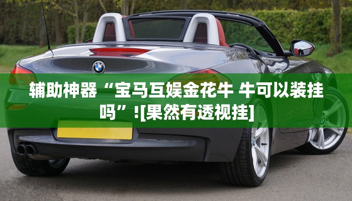 辅助神器“宝马互娱金花牛 牛可以装挂吗”![果然有透视挂]
