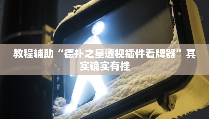 教程辅助“德扑之星透视插件看牌器”其实确实有挂