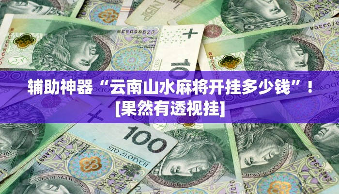 辅助神器“云南山水麻将开挂多少钱”![果然有透视挂]