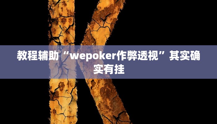 教程辅助“wepoker作弊透视”其实确实有挂 教程辅助“wepoker作弊透视”其实确实有挂