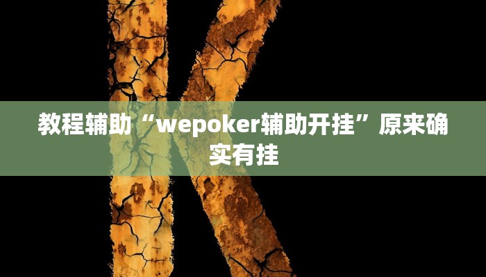 教程辅助“wepoker辅助开挂”原来确实有挂