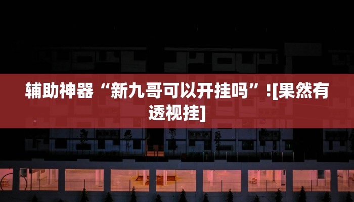 辅助神器“新九哥可以开挂吗”![果然有透视挂]