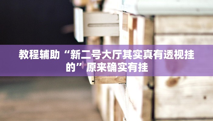 教程辅助“新二号大厅其实真有透视挂的”原来确实有挂