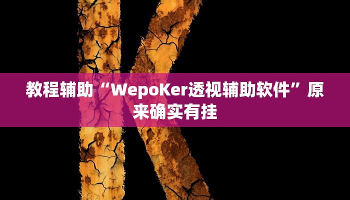教程辅助“WepoKer透视辅助软件”原来确实有挂