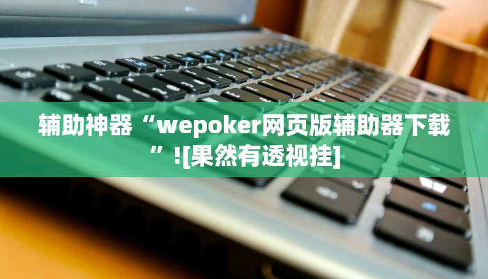 辅助神器“wepoker网页版辅助器下载”![果然有透视挂]