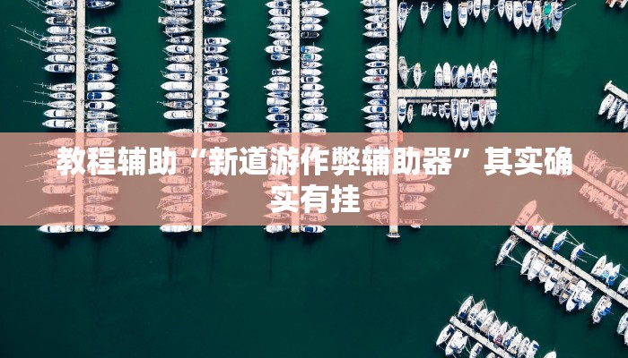 教程辅助“新道游作弊辅助器”其实确实有挂 教程辅助“新道游作弊辅助器”其实确实有挂