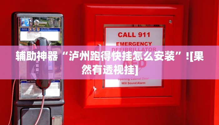 辅助神器“泸州跑得快挂怎么安装”![果然有透视挂]