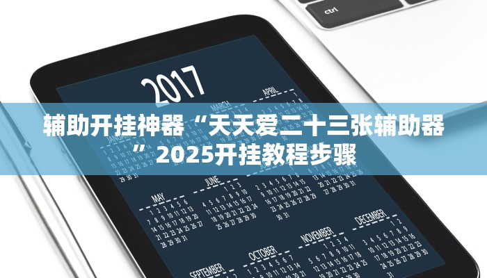 辅助开挂神器“天天爱二十三张辅助器”2025开挂教程步骤
