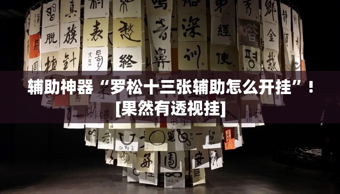 辅助神器“罗松十三张辅助怎么开挂”![果然有透视挂]