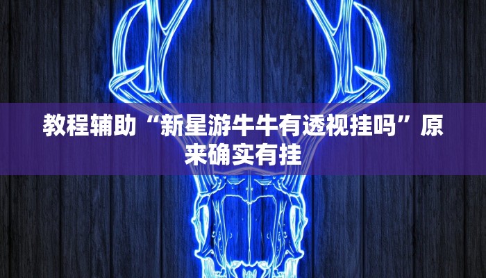 教程辅助“新星游牛牛有透视挂吗”原来确实有挂