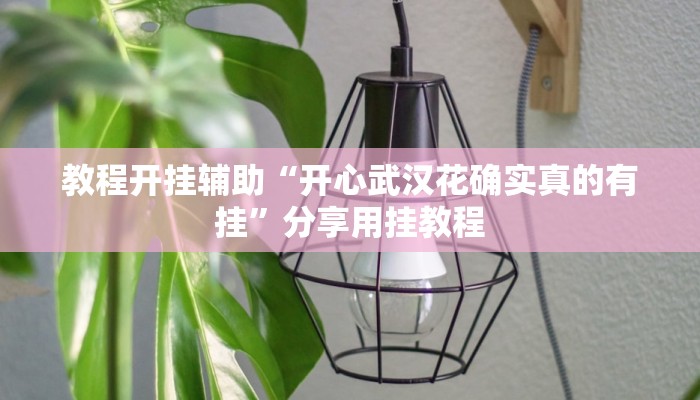 教程开挂辅助“开心武汉花确实真的有挂”分享用挂教程 教程开挂辅助“开心武汉花确实真的有挂”分享用挂教程