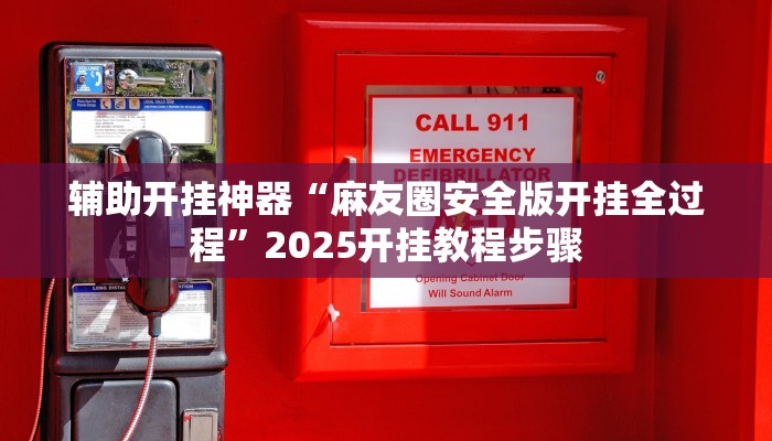 教程辅助“新棋联盟可以开挂吗”其实确实有挂