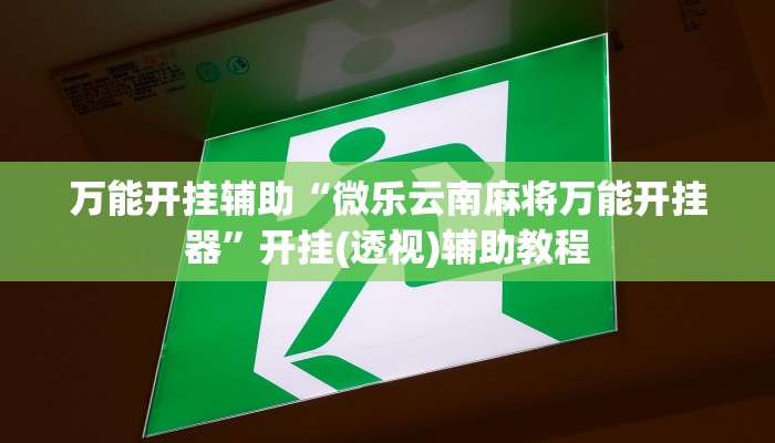 万能开挂辅助“微乐云南麻将万能开挂器”开挂(透视)辅助教程