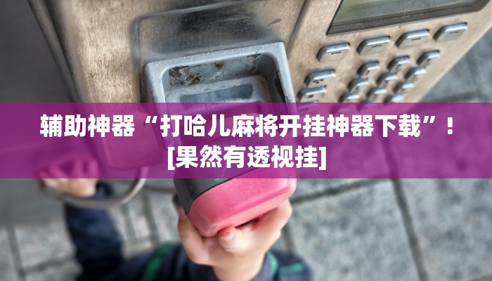 辅助神器“打哈儿麻将开挂神器下载”![果然有透视挂]