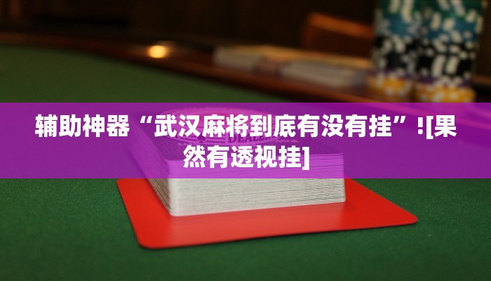 辅助神器“武汉麻将到底有没有挂”![果然有透视挂]