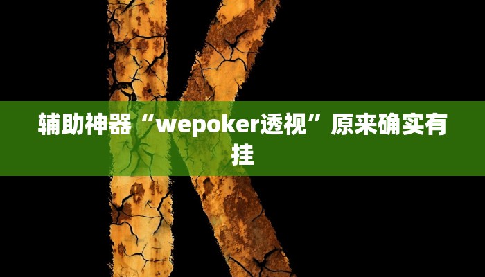 辅助神器“wepoker透视”原来确实有挂 辅助神器“wepoker透视”原来确实有挂