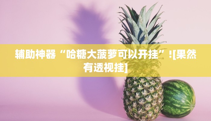 辅助神器“哈糖大菠萝可以开挂”![果然有透视挂]