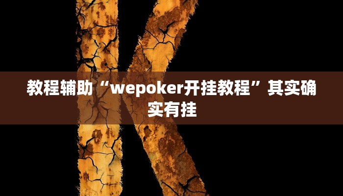 教程辅助“wepoker开挂教程”其实确实有挂